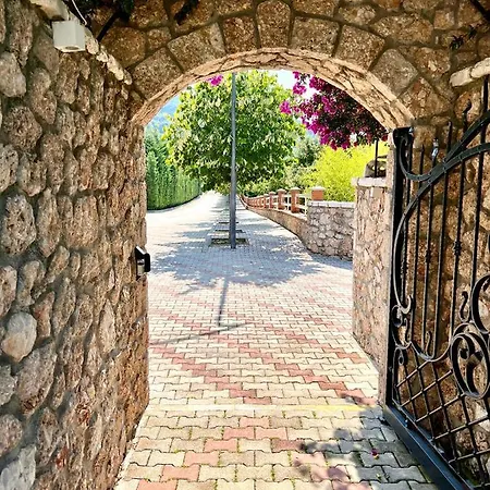 Elysium Отель 5*